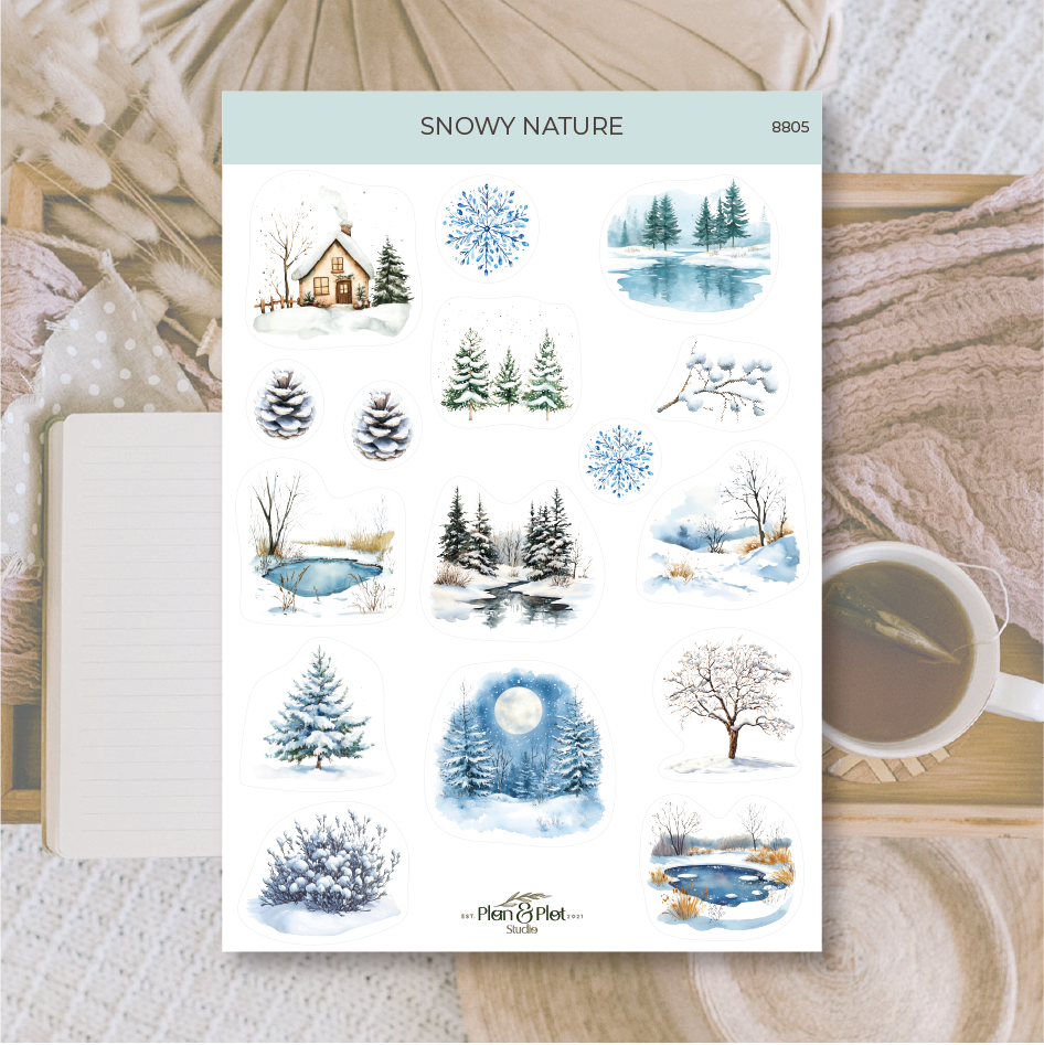 8805 Snowy nature