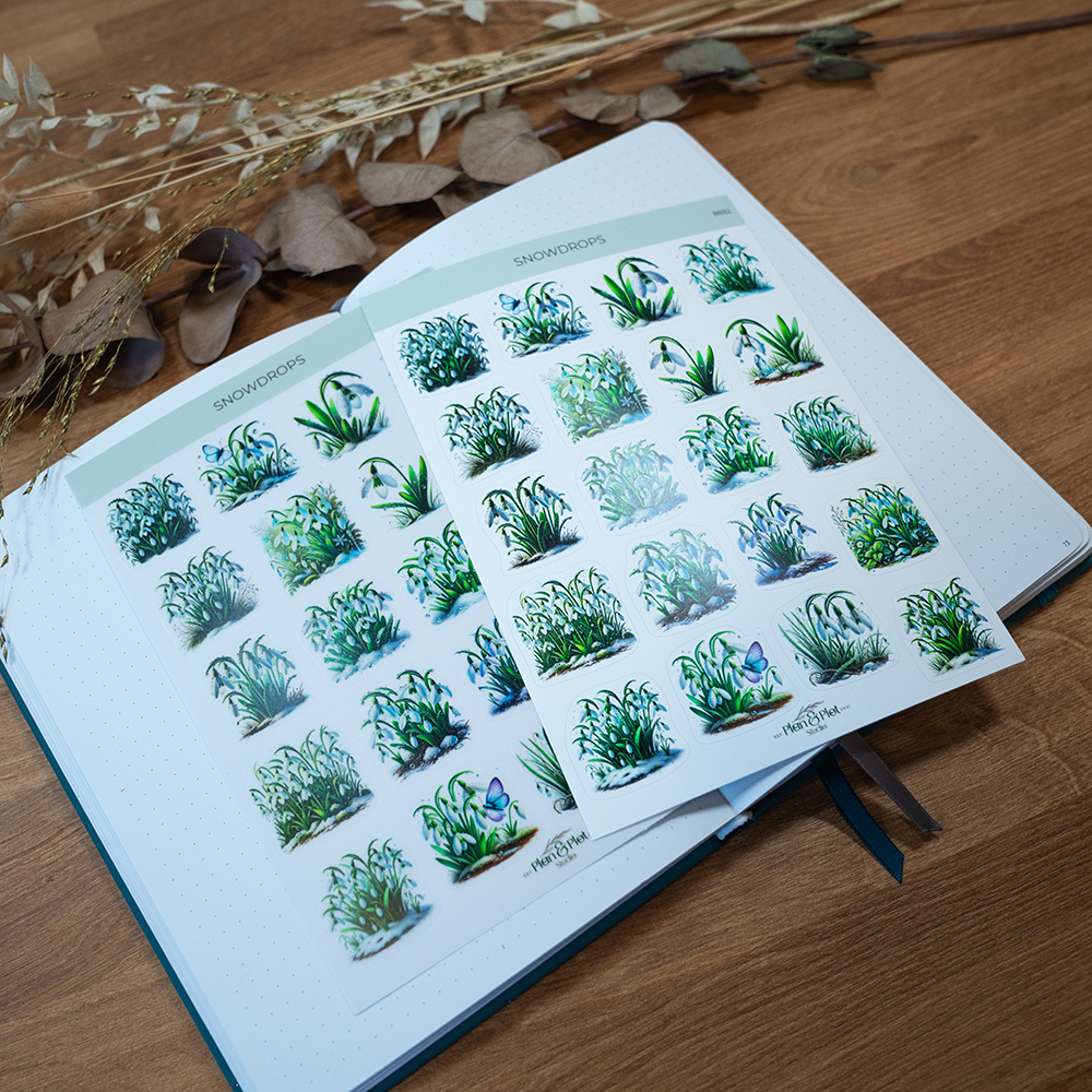 8882 snowdrops - 2
