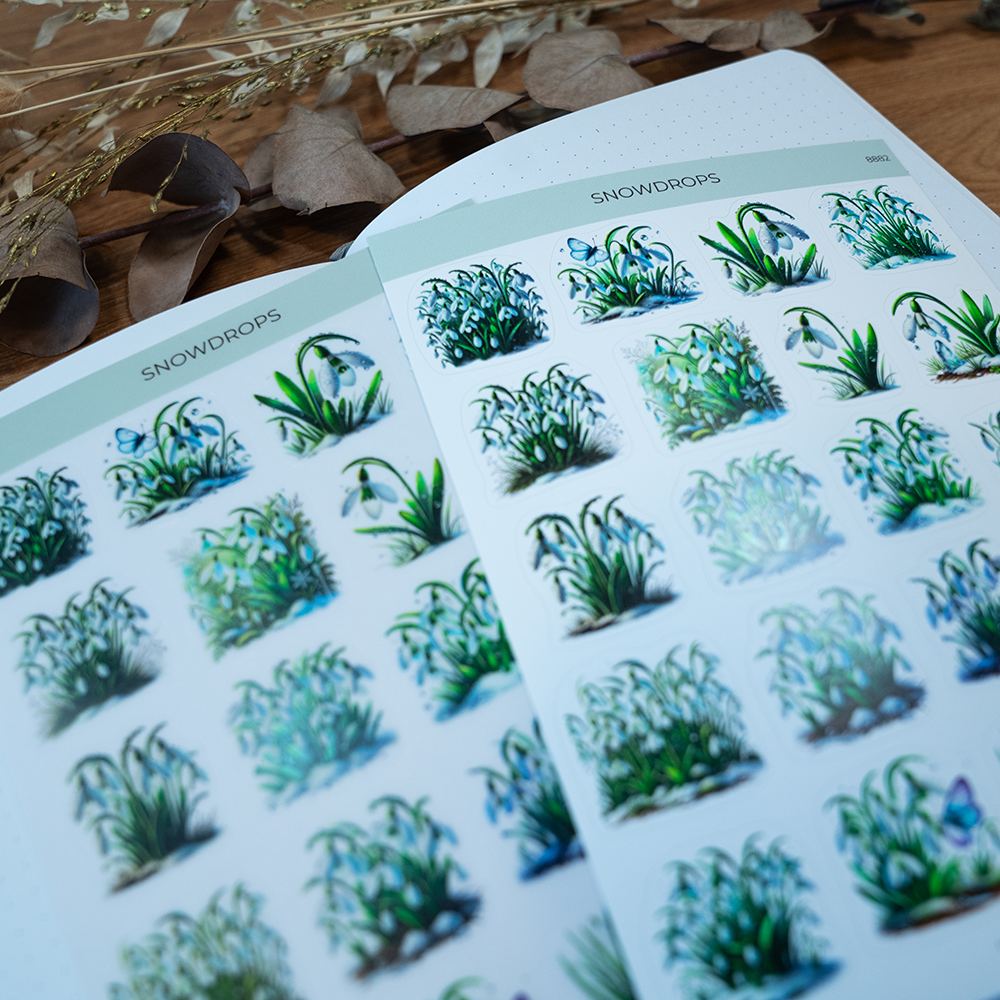 8882 snowdrops - 3