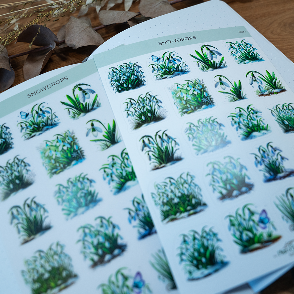 8882 snowdrops - 4