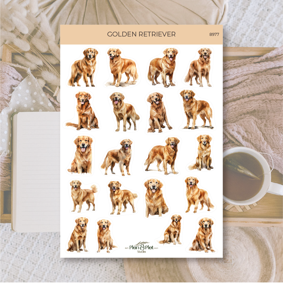 8977 Golden Retriever