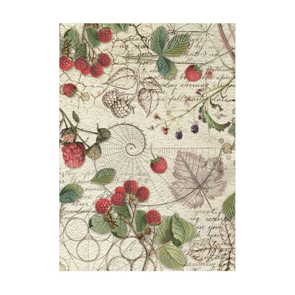 stamperia-forest-a6-rice-paper-backgrounds-8pcs-df-5