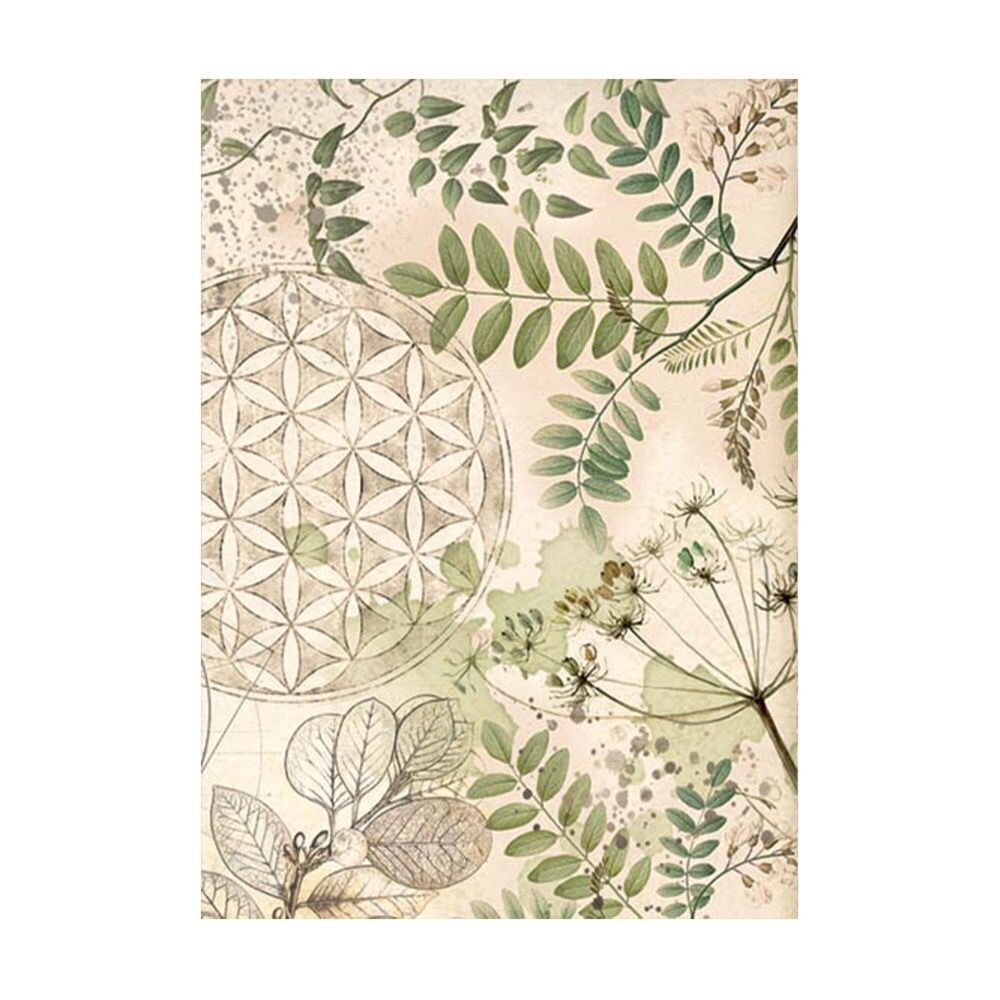 stamperia-forest-a6-rice-paper-backgrounds-8pcs-df-7