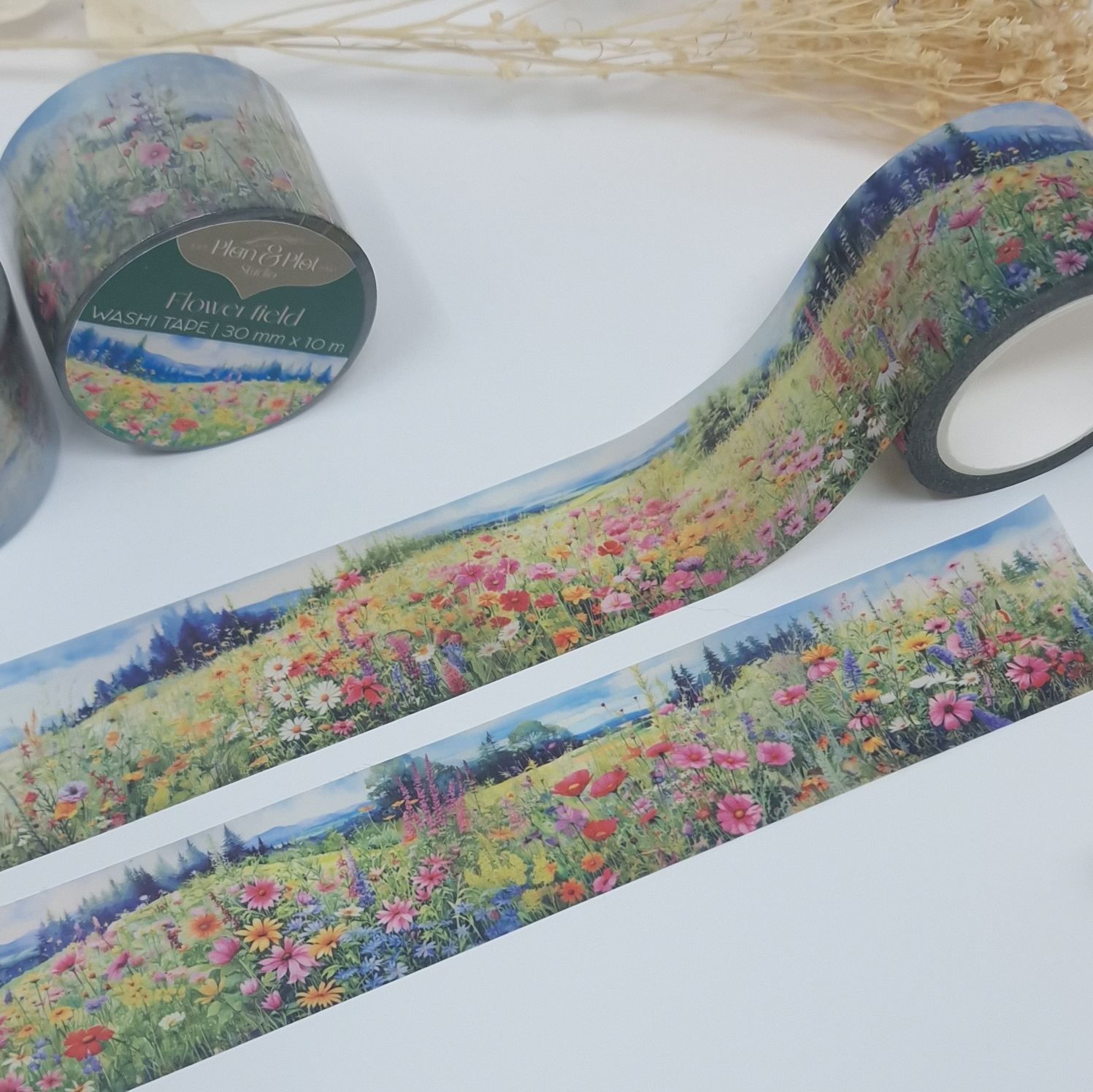 flower field 14