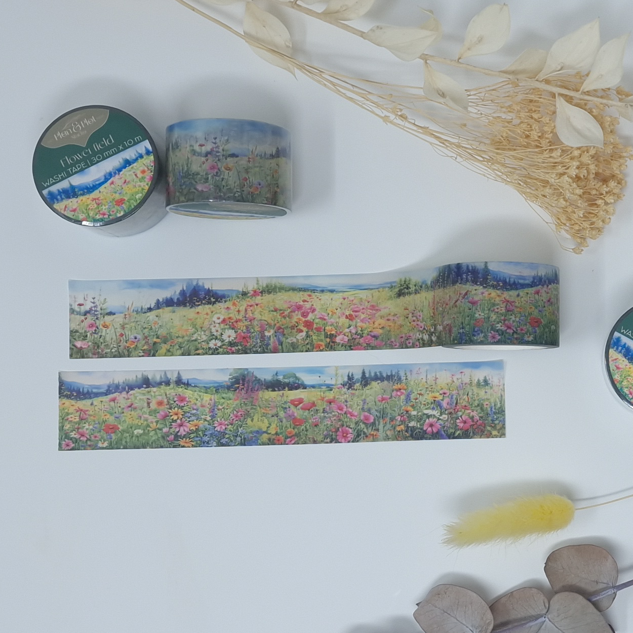 flower field 3