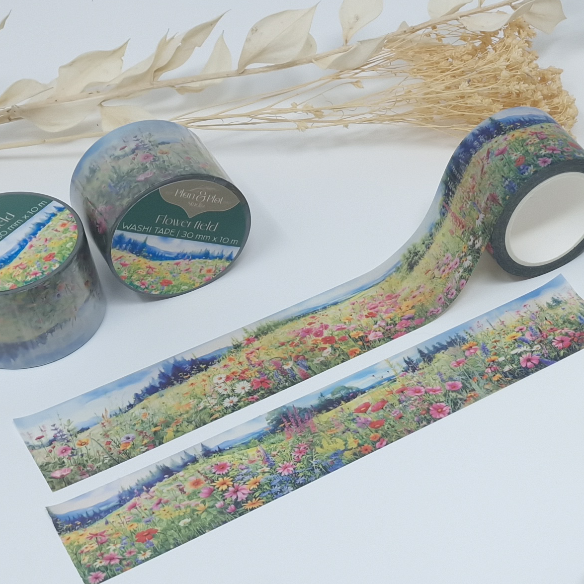 flower field 6
