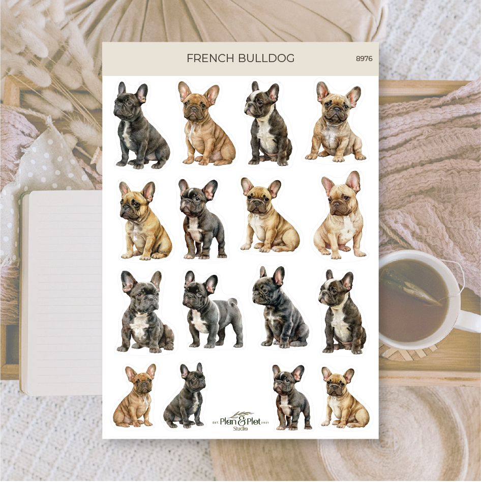 8976 French bulldog