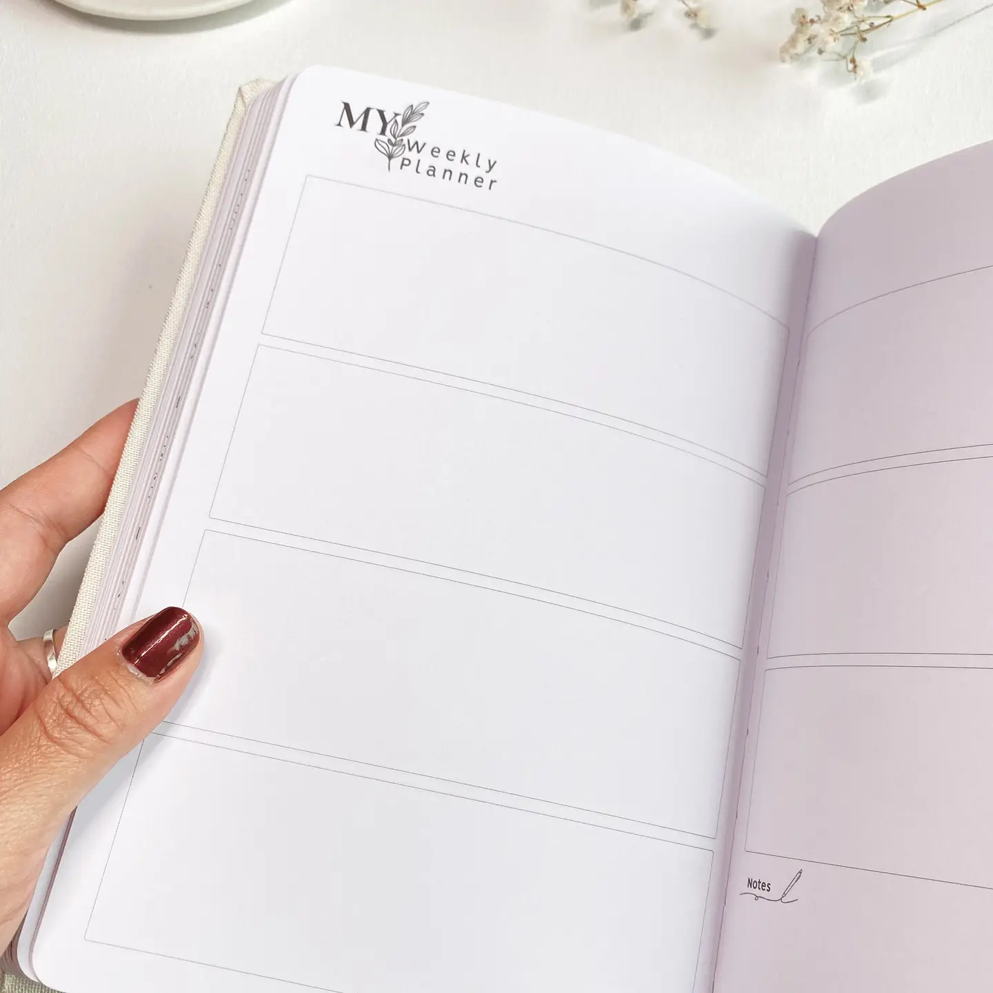 Lettoon undated planner 9.jpeg