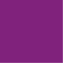 Variation picture for 665 purple Variation picture for 665 purple