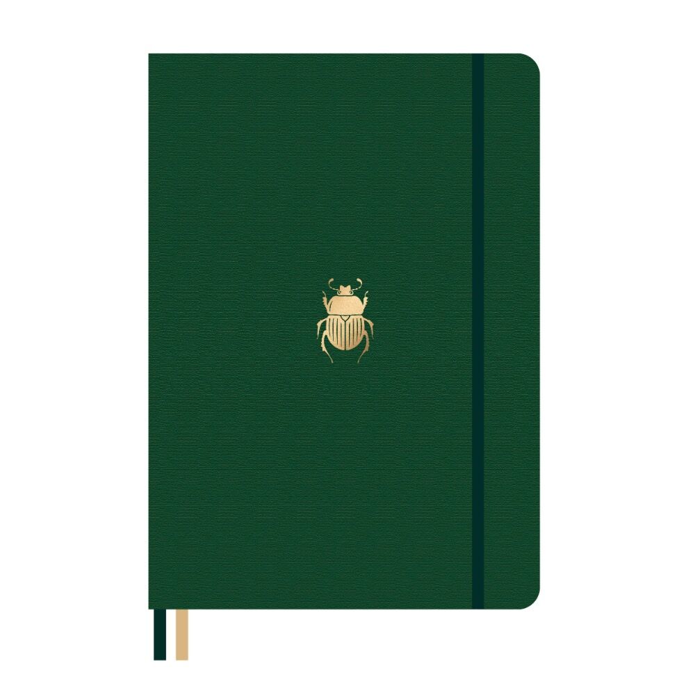 Beetle Image