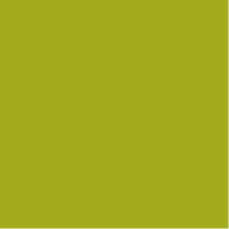 Variation picture for 126 Light Olive Variation picture for 126 Light Olive