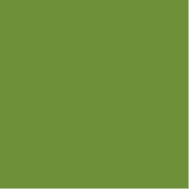 Variation picture for 158 Dark Olive Variation picture for 158 Dark Olive