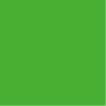 Variation picture for 195 Light Green Variation picture for 195 Light Green