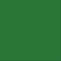 Variation picture for 245 Sap Green Variation picture for 245 Sap Green