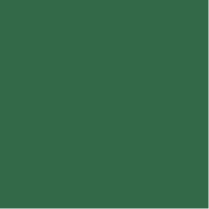 Variation picture for 249 Hunter Green Variation picture for 249 Hunter Green