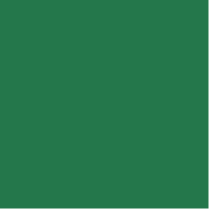 Variation picture for 277 Dark Green Variation picture for 277 Dark Green