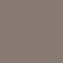Variation picture for N79 Warm Gray 2 Variation picture for N79 Warm Gray 2