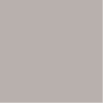 Variation picture for N89 Warm Gray 1 Variation picture for N89 Warm Gray 1